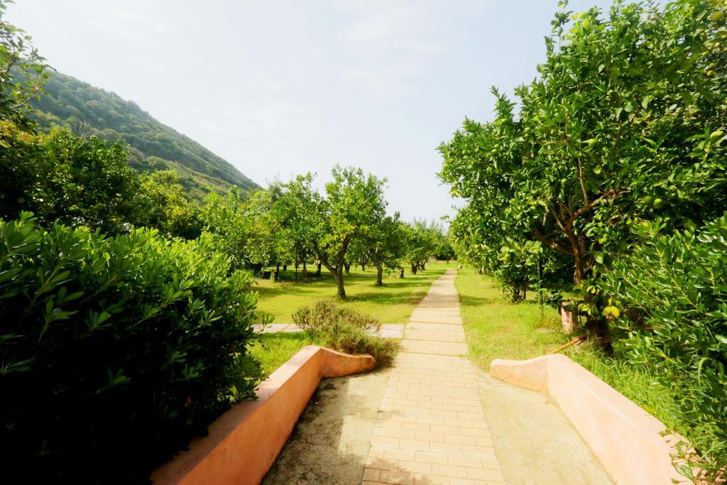 Residenza La Vigna Aparthotel ปาร์เกลียา ภายนอก รูปภาพ