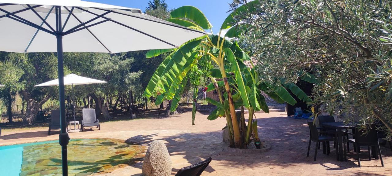 Residenza La Vigna Aparthotel ปาร์เกลียา ภายนอก รูปภาพ